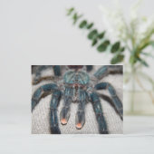 青色色色色色色色色色色色色色色色色色色色色色色色色色色色色色色色色色色色色色色色色色色色色色色色色色 ポストカード (スタンド正面)