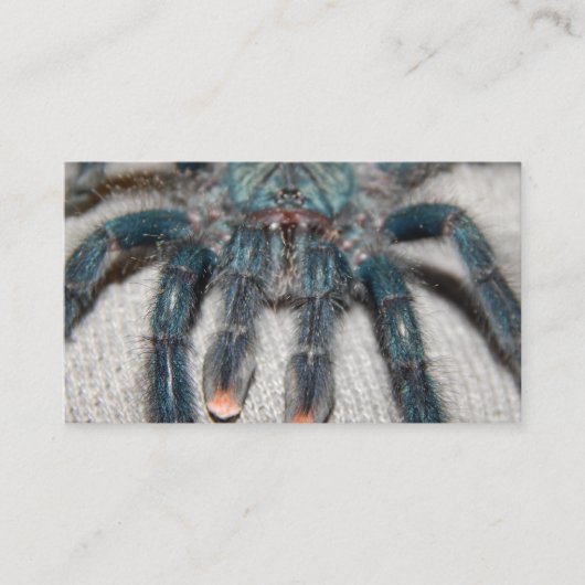 青色色色色色色色色色色色色色色色色色色色色色色色色色色色色色色色色色色色色色色色色色色色色色色色色色 名刺 (正面)