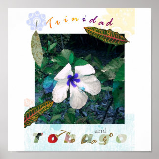 青色花粉tsザズラ ポスター