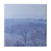 青色 タイル (正面)