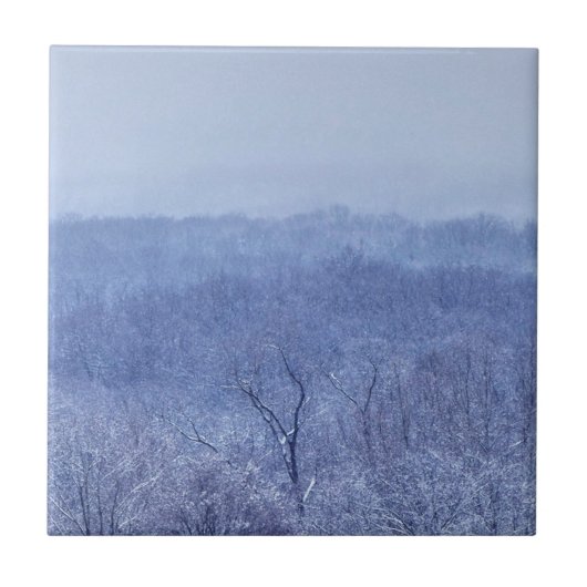 青色 タイル (正面)