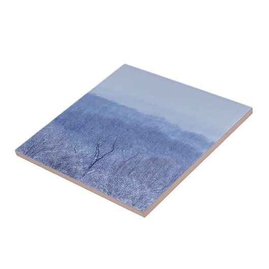 青色 タイル (側面)