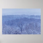 青色 ポスター (正面)