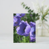 青花の写真 ポストカード (スタンド正面)