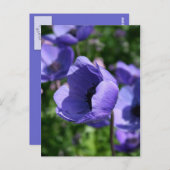 青花の写真 ポストカード (正面/裏面)