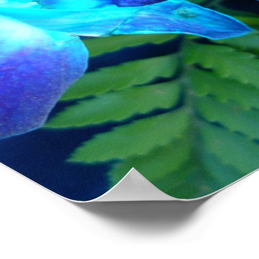 青花自然 ポスター (角)