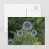 青花 ポストカード (正面/裏面)