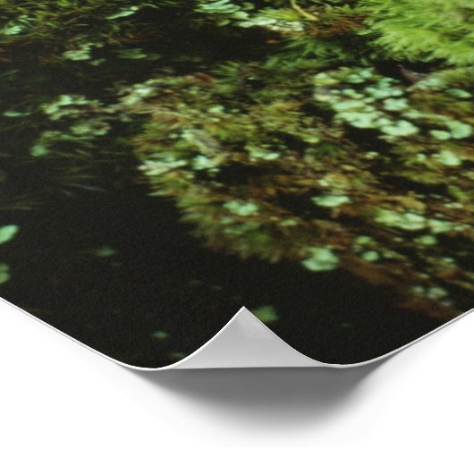 青苔 ポスター (角)