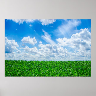 青草と青空 ポスター