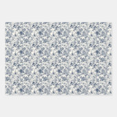 青華美植物学3 ラッピングペーパーシート (正面)