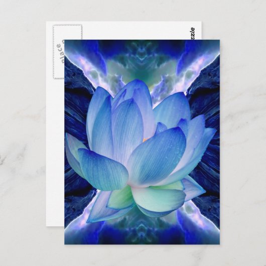 青蓮 ポストカード (正面/裏面)