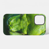 青蛇 iPhoneケース (裏面横)