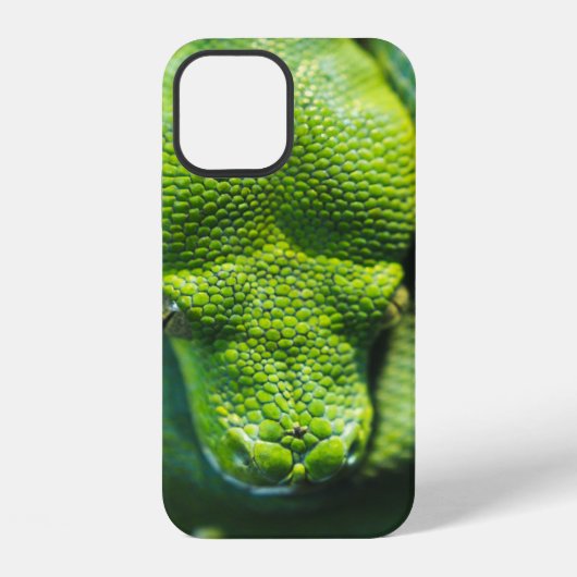 青蛇 iPhoneケース (裏面)