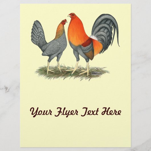 青赤い貝殻 チラシ (正面)