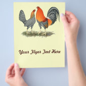 青赤い貝殻 チラシ (手)