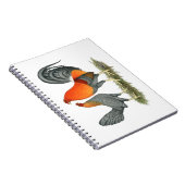 青赤い貝殻 ノートブック (右側)