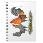 青赤い貝殻 ノートブック (正面)