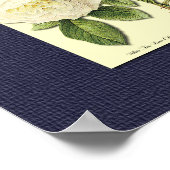 青赤と白いポスターの植物性バラ ポスター (角)