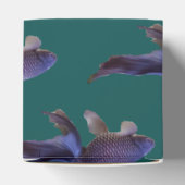 青金魚 フェイバーボックス (上部)