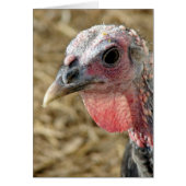 青銅トルコ (正面)