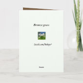 青銅色のGrass Dia del Padre カード (裏面)