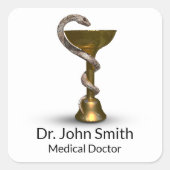 青銅製スネークボウル医療衛生方白銅製 スクエアシール (正面)