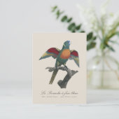 青顔インコ ポストカード (スタンド正面)