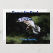 青飛んでいるいジェイ 招待状 (正面/裏面)