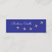 青飛んでいるい飛行機 | 旅行代理店 スキニー名刺 (正面)