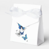 青飛んでいる蝶モルフォ フェイバーボックス (正面サイド)