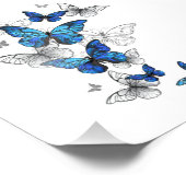 青飛んでいる蝶モルフォ フォトプリント            (角)