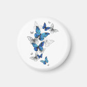 青飛んでいる蝶モルフォ マグネット (正面)