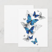 青飛んでいる蝶モルフォ 案内状 (正面/裏面)
