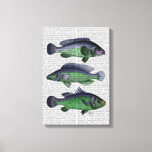 青魚トリオ キャンバスプリント (正面)