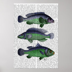 青魚トリオ ポスター