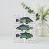 青魚トリオ ポストカード (スタンド正面)