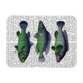青魚トリオ マグネット (横)