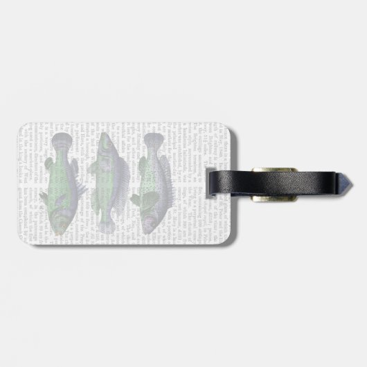 青魚トリオ ラゲッジタグ (裏面横)