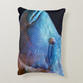 青魚 アクセントクッション (裏面(縦))