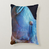 青魚 アクセントクッション (正面(垂直))