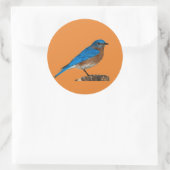 青鳥の名前，ブルーバード，ブルーバード恋人，ブルーバード ラウンドシール (バッグ)