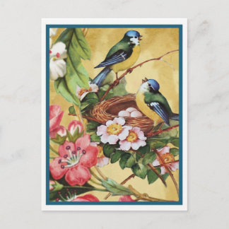 青鳥7 ポストカード