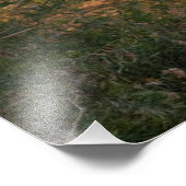 青鷺が飛ぶ フォトプリント            (角)