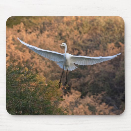 青鷺が飛ぶ マウスパッド (正面)