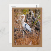 青鷺の芸術 ポストカード (正面/裏面)