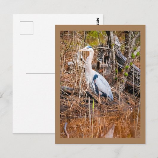 青鷺の芸術 ポストカード (正面/裏面)