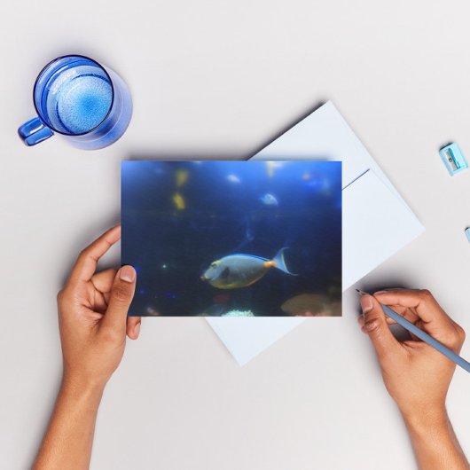 青黄熱帯魚 ポストカード