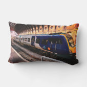 青黄色列車 アウトドアクッション (裏面)