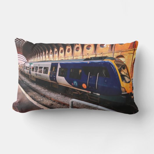 青黄色列車 アウトドアクッション (正面)