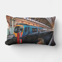 青黄色列車 アウトドアクッション